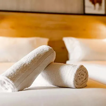 Ibis Ferrand A71 A75 La Méridienne 3*