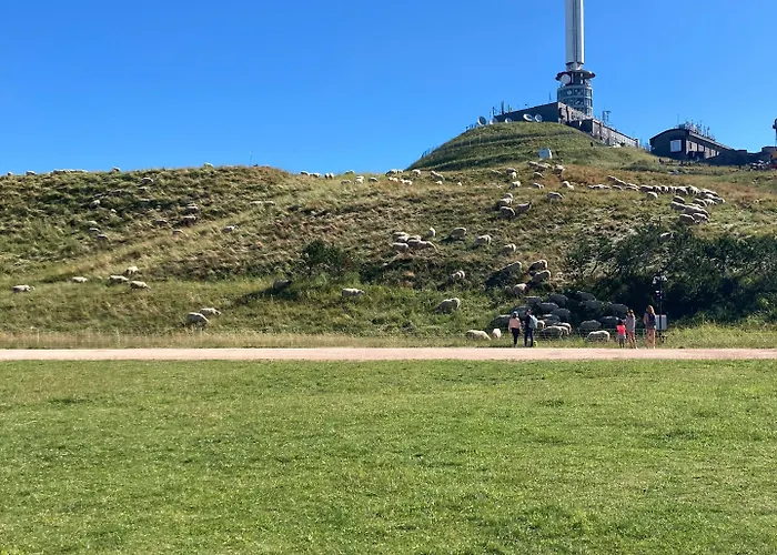 Hotel Ibis Ferrand A71 A75 La Méridienne